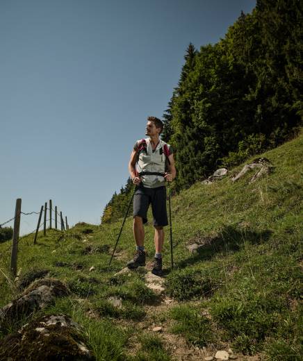 Wanderer in Tiroler Bergen